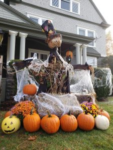 Cook-Original&PC-1 | Springbrook