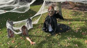 Earlville-Scary-1 | Springbrook