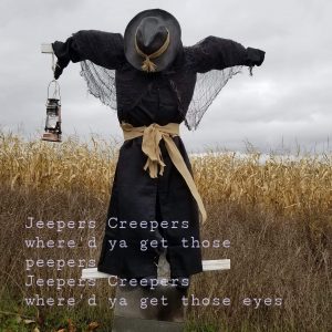 Grandview-Scary-2 | Springbrook