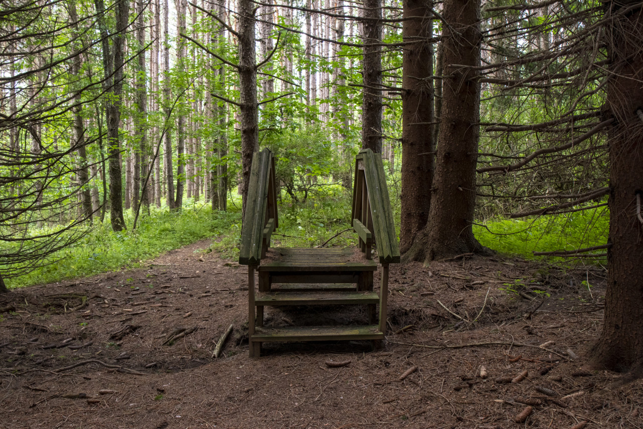 MainCampusTrail(1) | Springbrook MainCampusTrail(1)