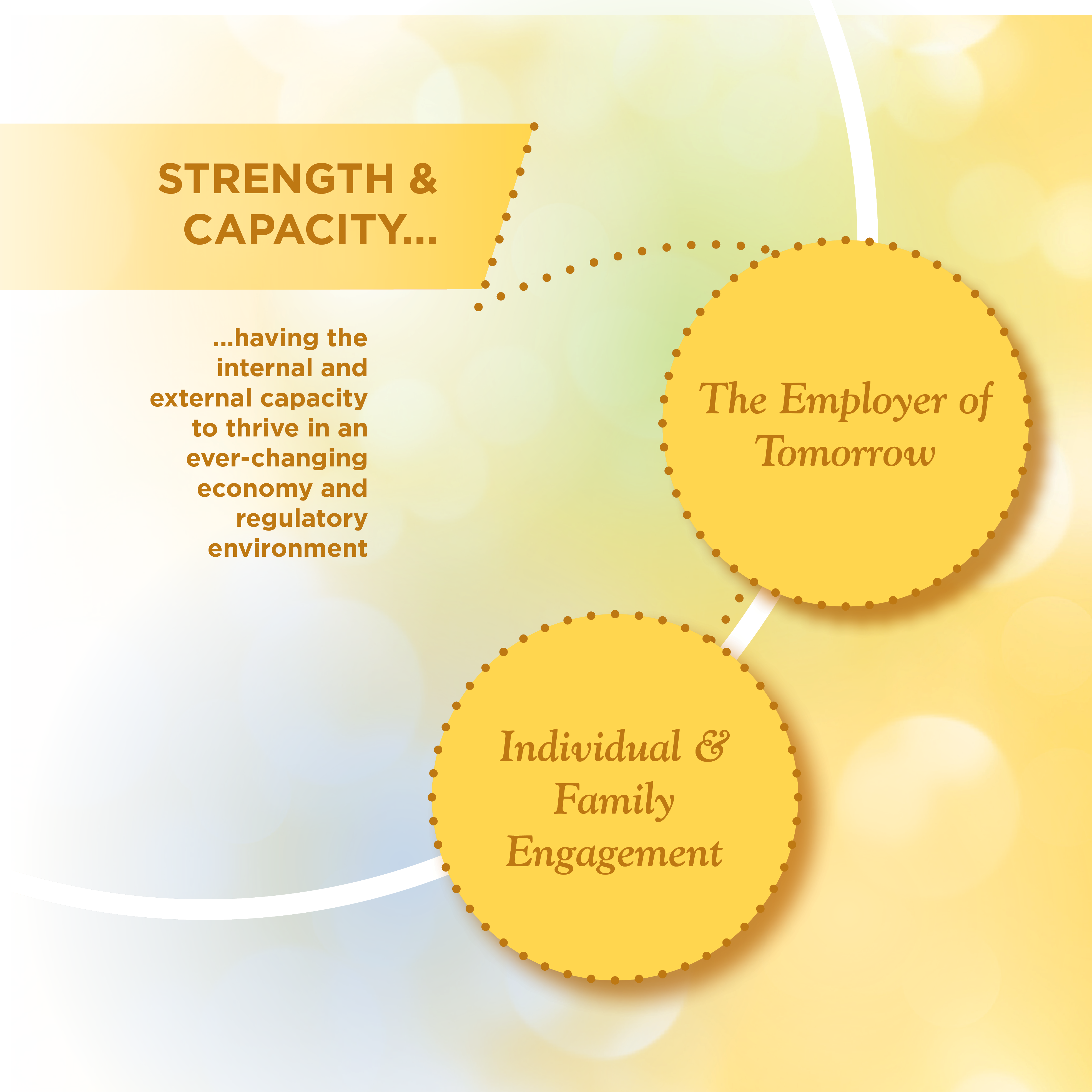 MasterPlanGraphics2 | Springbrook Strength and Capacity Infographic