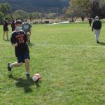 Scorpions | Springbrook Scorpions