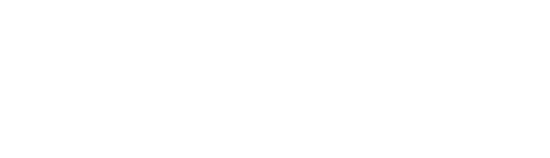 Springbrook  partners Logo- Wht